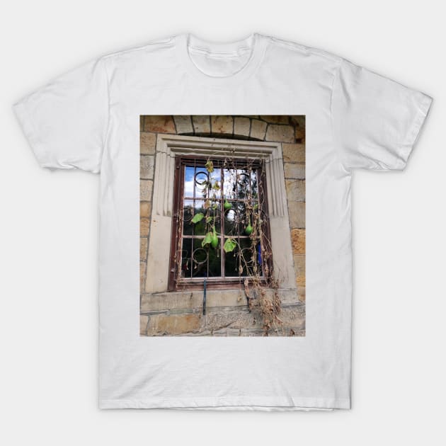 A pumpkin is hanging in the window T-Shirt by Gourmetkater